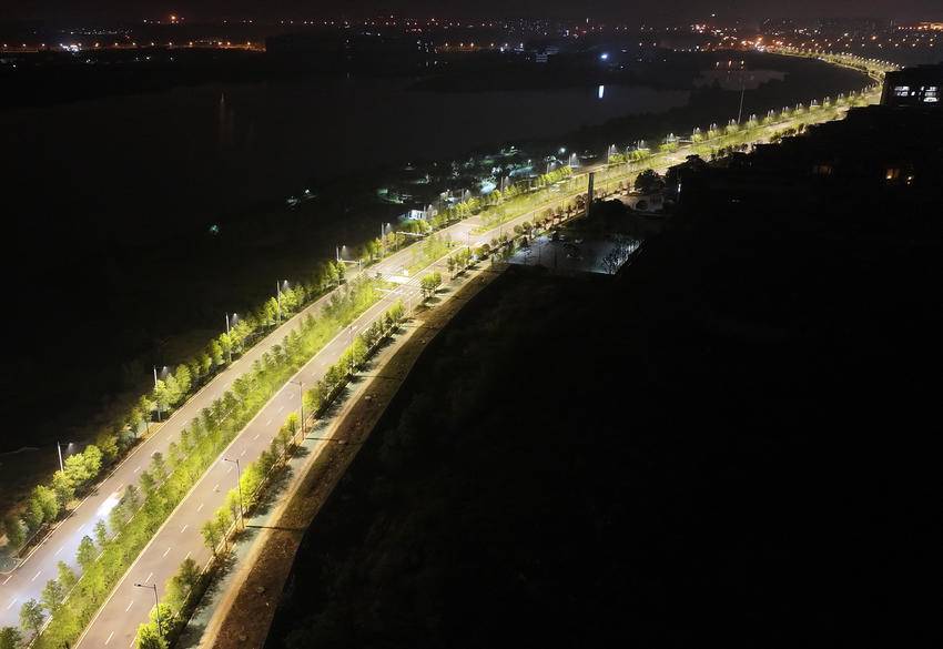 荊楚大道路燈4